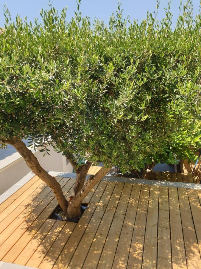 Les Terrasses Des Anthenors Bed & Breakfast