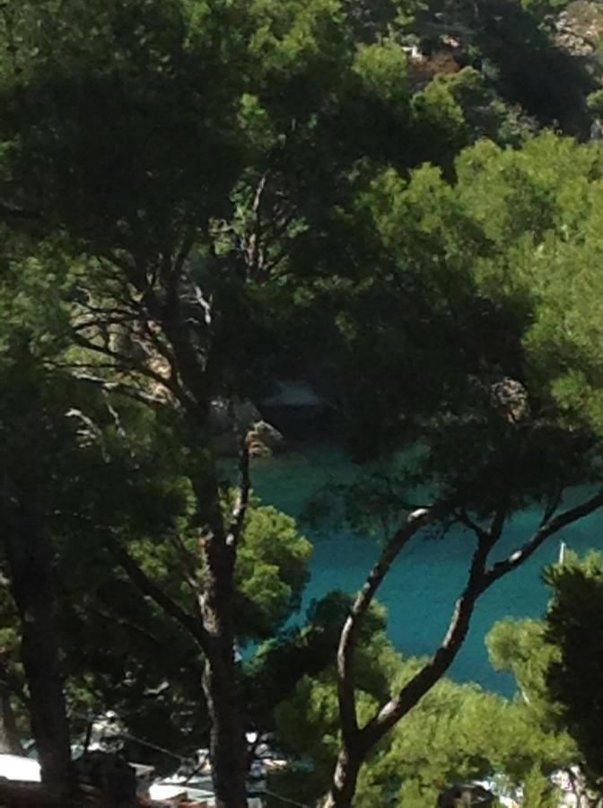 Les Terrasses Des Anthenors *