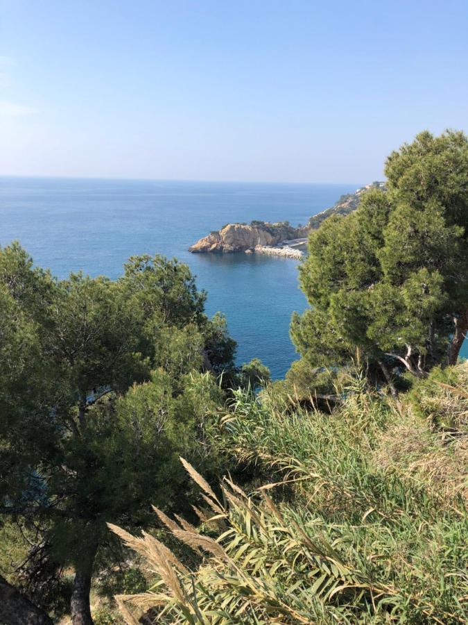 Bed & Breakfast Les Terrasses Des Anthenors